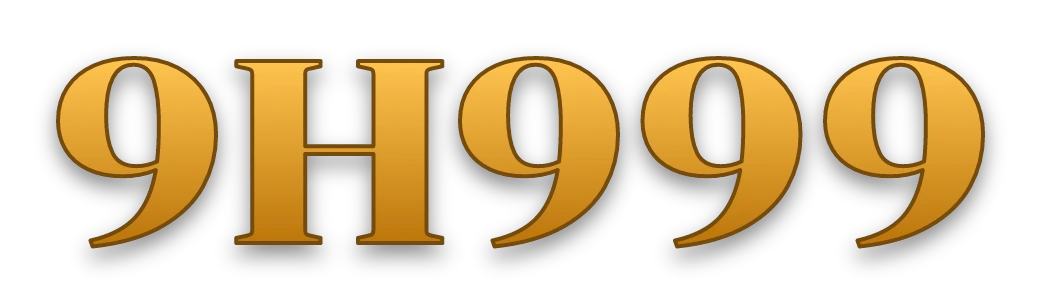 9H999 logo